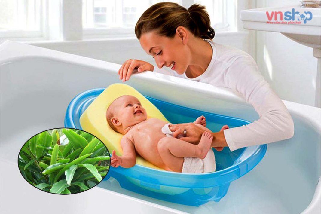 Cách tắm lá riềng cho trẻ sơ sinh