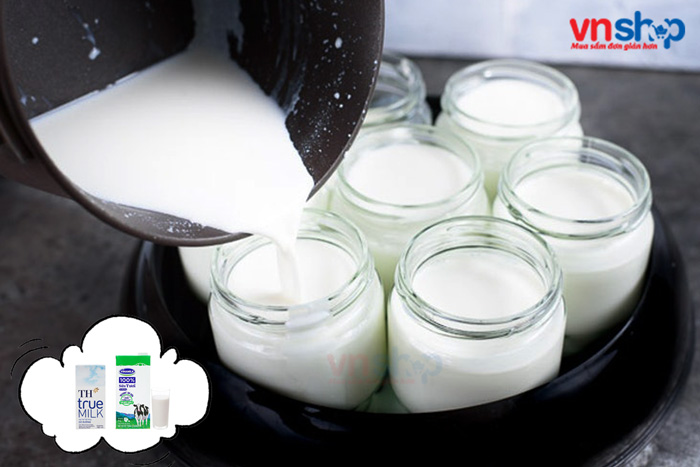 Bật mí cách làm sữa chua từ sữa đặc và sữa tươi đơn giản tại nhà