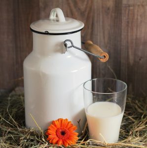 Giá trị dinh dưỡng của sữa tươi không đường