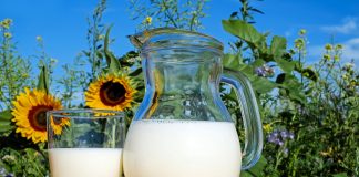 Sữa tươi không đường giảm cân