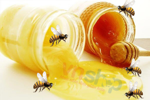 Sữa ong chúa có phải là mật ong không?