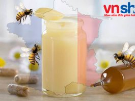 3 loại sữa ong chúa Pháp hàng đầu tại Việt Nam