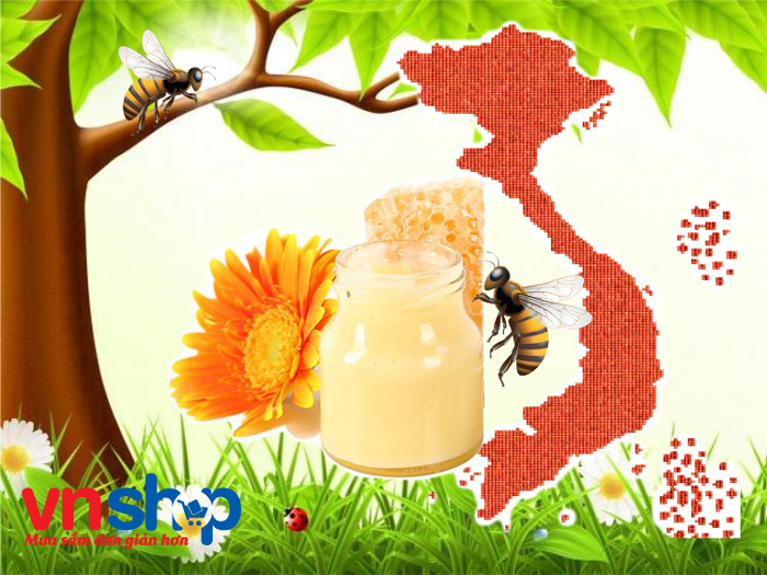 Review 8 loại sữa ong chúa Việt Nam có tốt không?