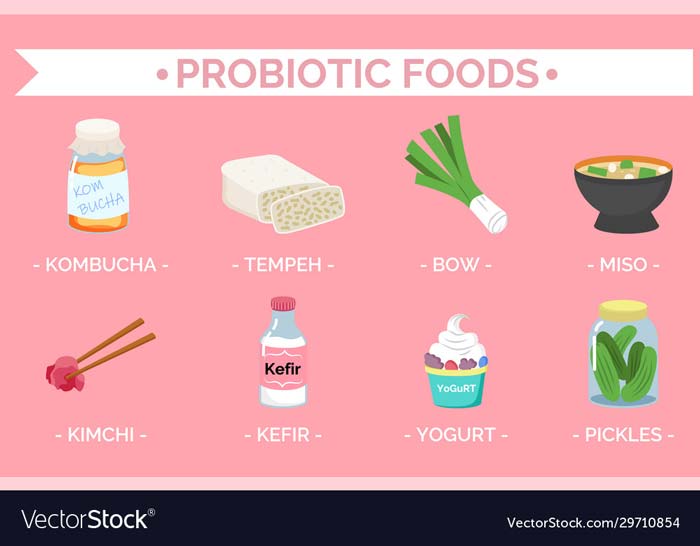 Các loại thực phẩm có chứa probiotics.